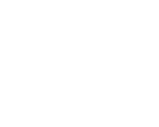 Integritas Team